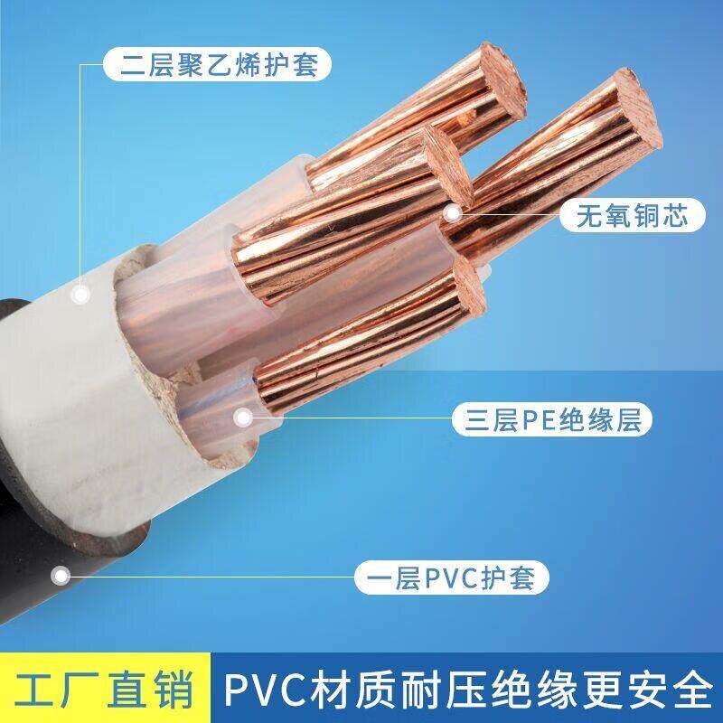 胜电缆YJV/YJY 380V主线控制电缆10/16/25/35/50平方电线图片