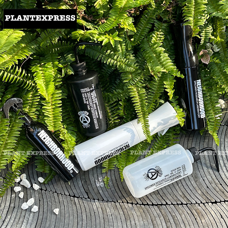 NEIGHBORHOOD块根植物盆景绿植喷壶超细喷雾多肉园艺浇花浇水壶