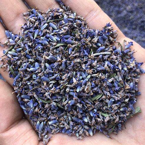 薰衣草干花粒填充香包枕头原料新香味浓郁新疆真花源头厂家