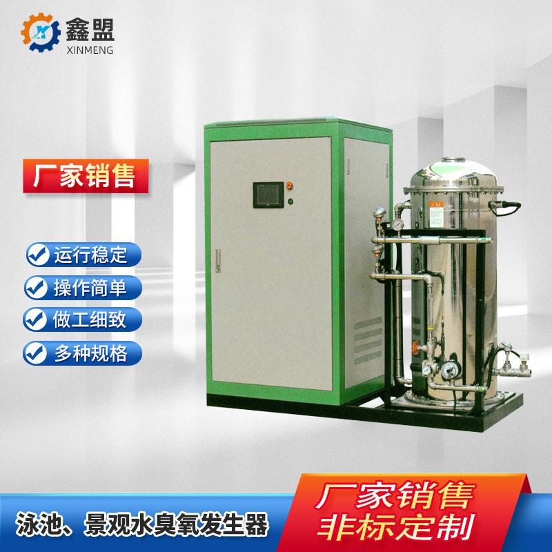 定制泳池景观水臭氧发生器自来水污水废水净化消毒水池杀菌设备