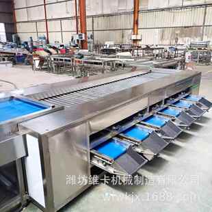 油甘果直径选果机 胭脂梅大小分拣机 螺旋滚杠分级机价格