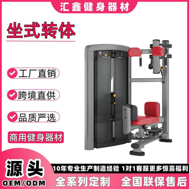坐式转体训练器健身房商用坐式转体室内腰背部腹部力量训练健身