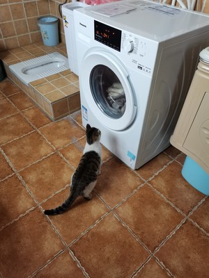 松下XQG90-NG90WT怎么样说一说体验真实心得感受?