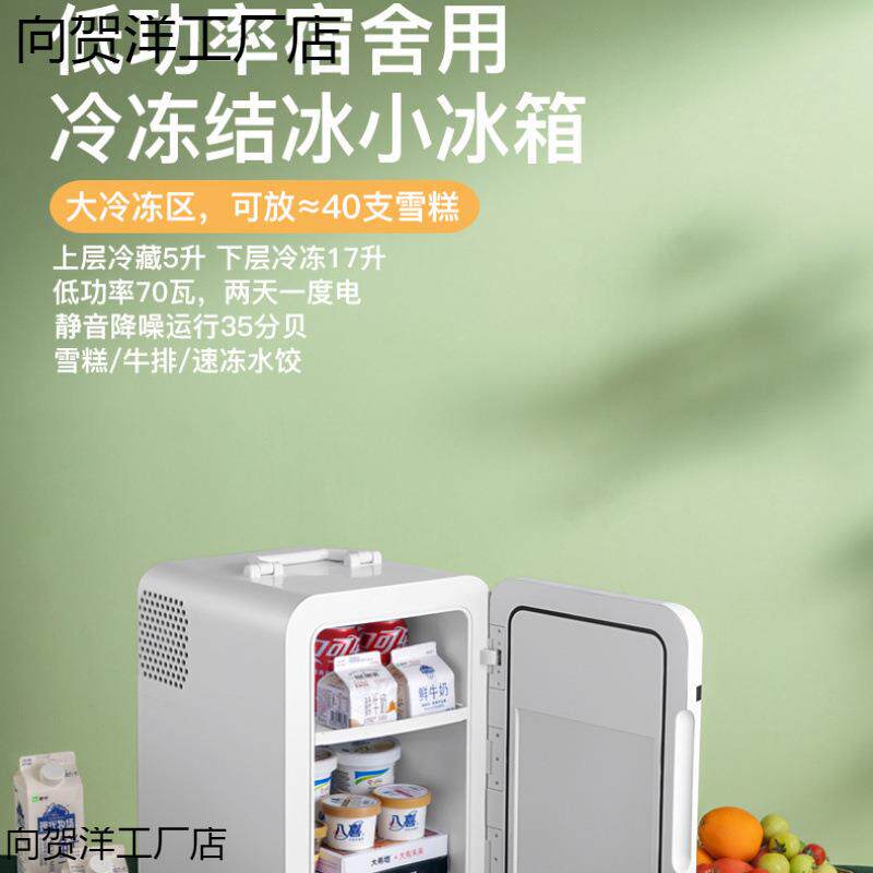 2026新款迷你小冰箱一人二人家用办公室特小型新款车载冰箱冷藏冷