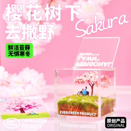 绿州私人草坪苔藓微景观办公桌植物盆栽室内创意绿植懒人好养送礼