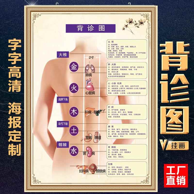 背诊图背部经络穴位图人体经络穴位中医养生美容院养生馆海报挂图
