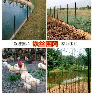 鸡鸭鹅围养护栏菜园子围栏绿网围栏鸡圈围栏网防黄鼠狼铁丝网挡鸡