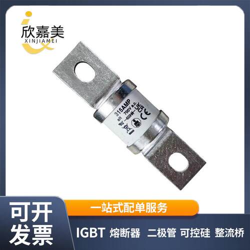 315FM 355FM 250FM 快速熔断器 保险丝 电子元器件 量大价优