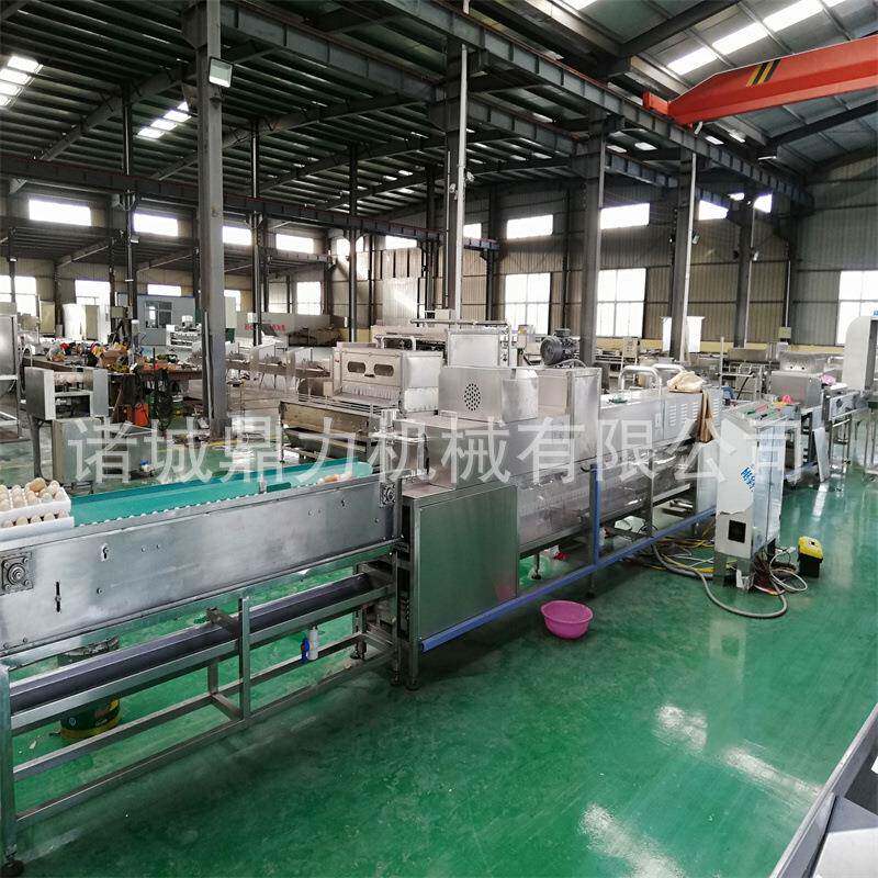 鸭蛋清洗机新品诸城鸡蛋清洗烘干分级全套设备厂家洗蛋机价格