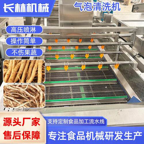 全自动冲浪式清洗设备压喷淋式气泡清洗机大枣秋葵清洗线