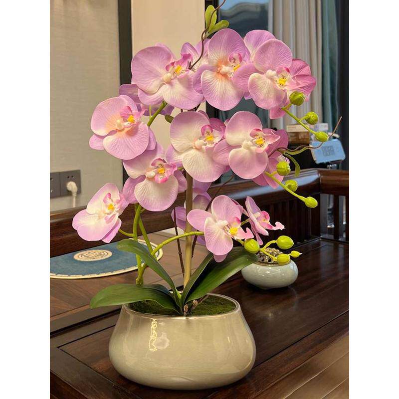 蝴蝶兰套装仿真花手感假花盆栽客厅餐桌摆放绢花中式陶瓷花卉摆件
