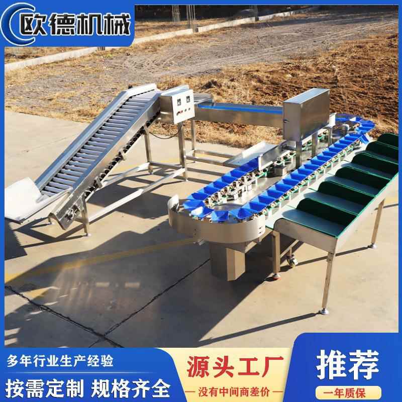 大石榴重量分选机火龙果水果等级分拣机软包防磕碰快速称重防水