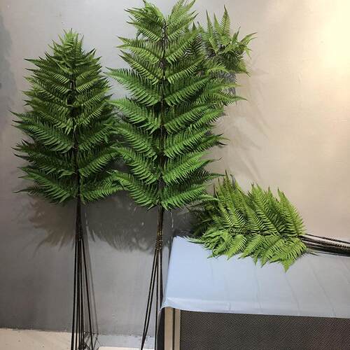 金丝猴蕨 大厥叶仿真植物绿植蕨草波斯树枝仿真绿植景观家居装饰