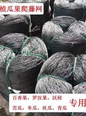百香果专用爬藤网水瓜苦瓜丝瓜葫芦牵牛花罗汉果爬藤种植拉网护网
