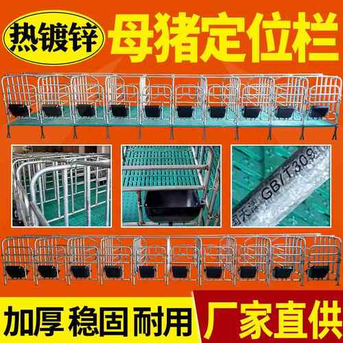 热镀锌母猪用产床保育床猪用限位栏限位栏带漏粪板加厚定位栏复合