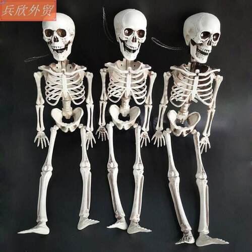 Halloween skeleton haunted decoration Props 40cm Pendant摆件