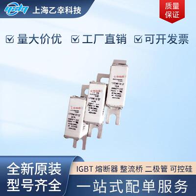 巴斯曼熔断器 170M1730 170M1731 170M1732 170M1733 170M1734