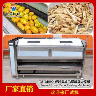 大产量芋头去皮机自动香芋去泥去皮机毛芋 芋艿电动脱皮机去皮