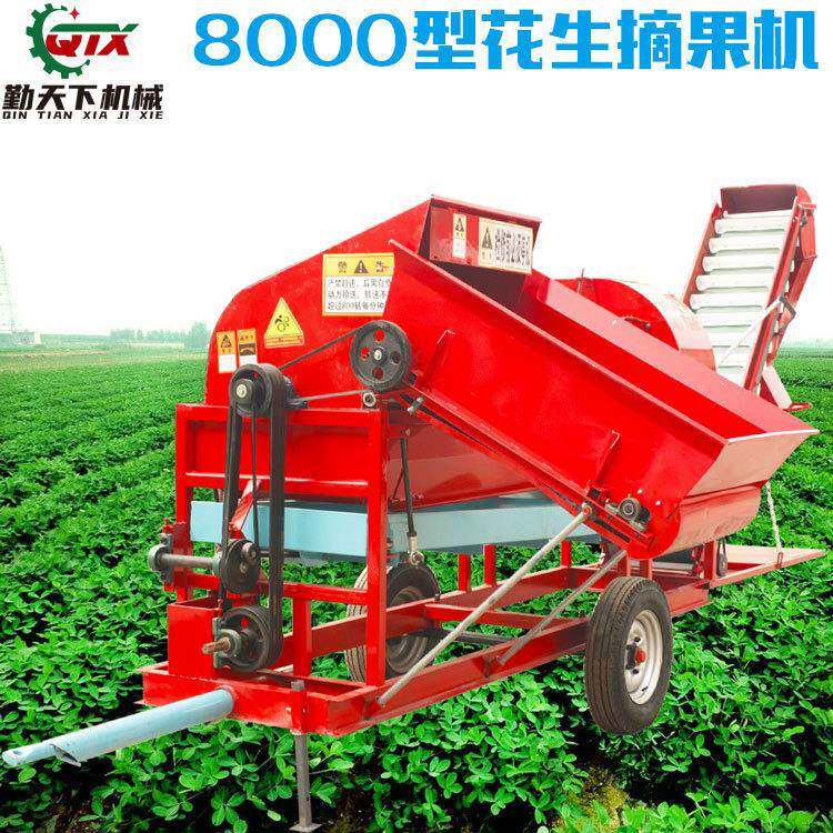 8000型自动进料花生摘果机 摘果干净直接装袋装车长果去秧机