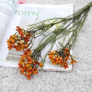 腊梅 复古澳洲腊梅 仿真花 梅花 饰 假花家居装 饰摄影道具婚庆装