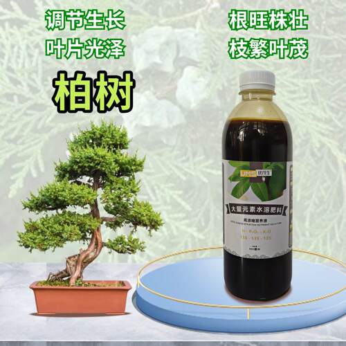 石化桧侧柏树盆景营养液蓝冰老桩小苗盆栽专用大量元素水溶肥料