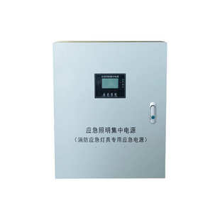 A型应急照明集中电源 D系列多规格壁挂消防智能疏散控制电源箱