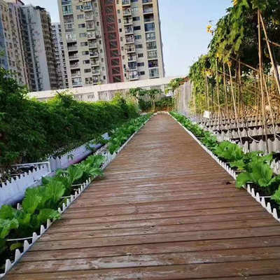 合成泥炭土土营养顶花种植土透气养花通用土壤轻质土疏松土屋