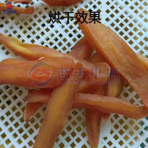 小型红薯干烘干机气设干能一体式地瓜干空烘机LT-HSG番薯条除湿烘