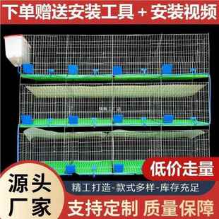 兔子笼子自动笼清粪子家兔用大号养殖场OLX5949新式商品笼多层母