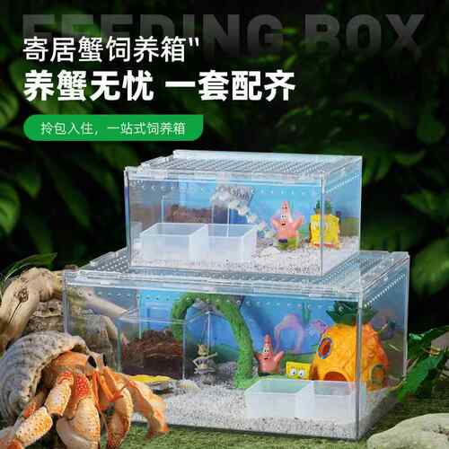 寄居蟹豪华别墅压克力生态缸高透光新手进阶饲养箱造景塑料套装盒