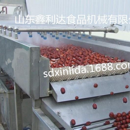 大枣清洗机,红枣清洗机,红枣气泡清洗设备鲜枣清洗机