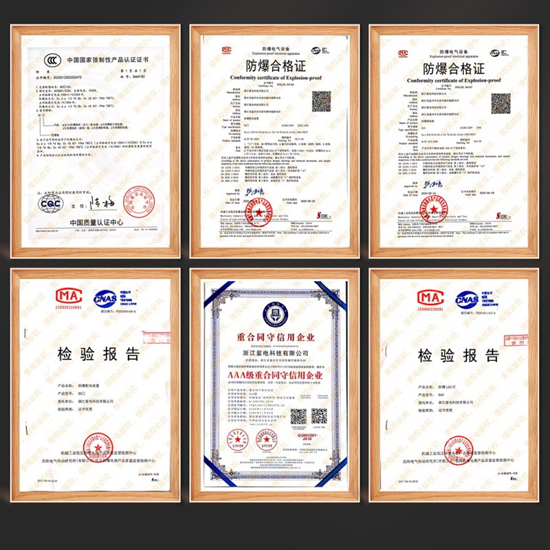 碳钢IIC防爆照明动力配电箱仪表检修正压柜防腐防尘变频器插销箱