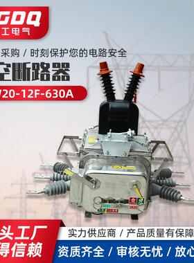 真空断路器ZW20-12F/630A10kv高压真空断路器看门狗智能型户外