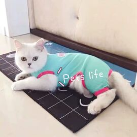 猫咪防掉毛四脚衣服夏天英短蓝猫布偶猫加菲猫银渐层春秋猫猫薄款