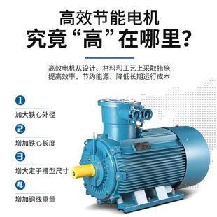 YBX3防爆電機380V隔型BT4爆YBX3 CT4三相異步電5動機銅線2.