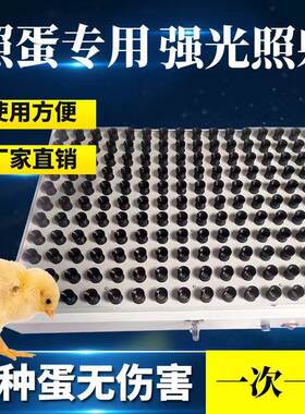 整盘照蛋器照蛋LED冷光照蛋灯种蛋照蛋箱孵化机配件验蛋工具