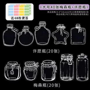 自制收集册手工材料透明植物树叶标本创意贴书签