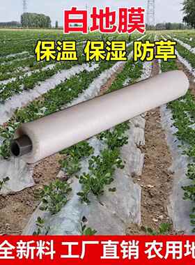 农用白色盖花生地膜加厚种植玉米西瓜保温专用菜园塑料薄膜工程膜