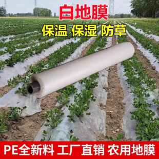 农用白色盖花生地膜加厚种植玉米西瓜保温专用菜园塑料薄膜工程膜
