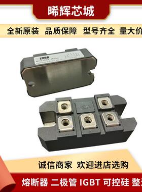 MDS100A1600V MDS100A1800V型号齐全 标准封装可控硅整流器
