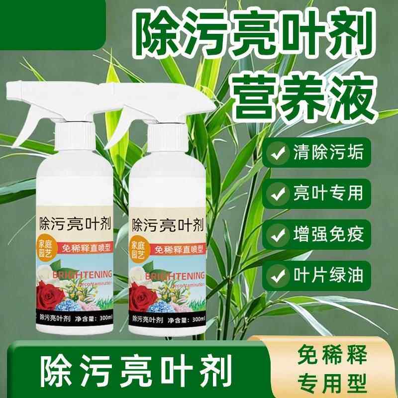 园艺除污亮叶剂植物增亮不伤植被恢覆光泽去污亮叶光亮剂
