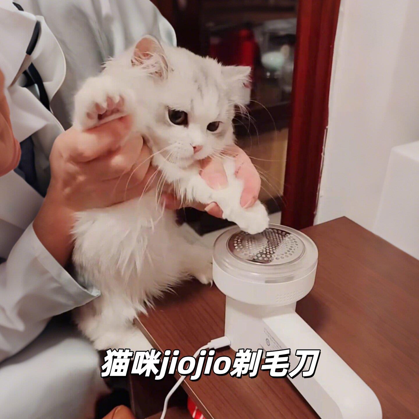 宠物剃毛器猫咪剃脚毛器狗狗毛发修理器宠物静音款剪毛专用推毛器
