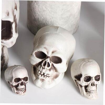 Halloween All Size Human Skull Head Skeleton Hanging Skull S