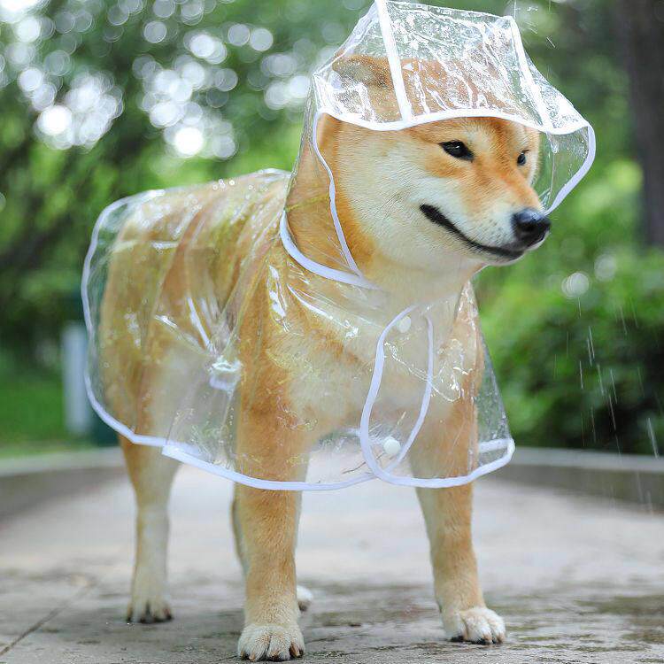 狗狗雨衣泰迪专用小中型犬柴犬小狗雨披防水宠物衣服四脚全包用品