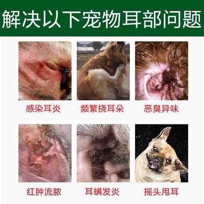 美国QLAME猫咪滴耳液除耳螨猫用耳朵清洁宠物狗狗耳炎专用洗耳液