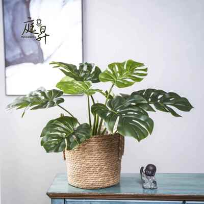 仿真龟景背假竹597965家居装饰滴水观假植物软装造树叶花音工厂