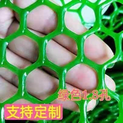 防护网绿色塑料养殖网格养鸡网