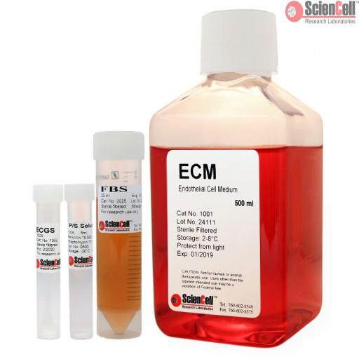 sciencell内皮细胞培养基1001 / 生长因子1052 ECM细胞培养1101
