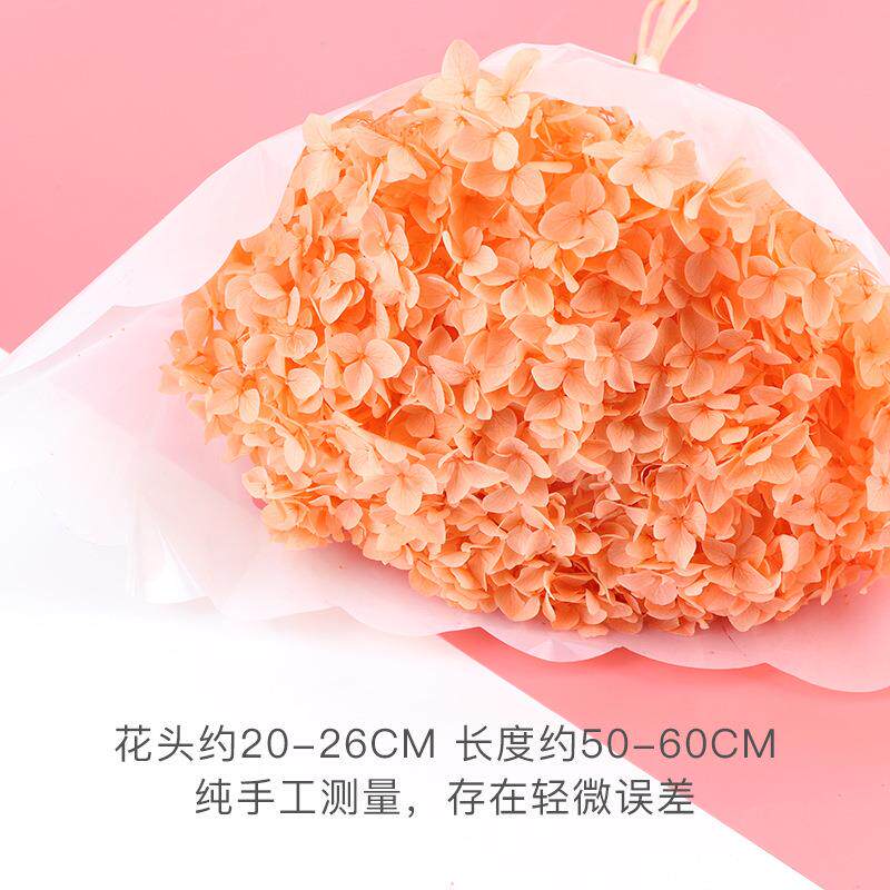 云南永生花单支安娜绣球干花花束花材diy保鲜花婚庆拍摄道具