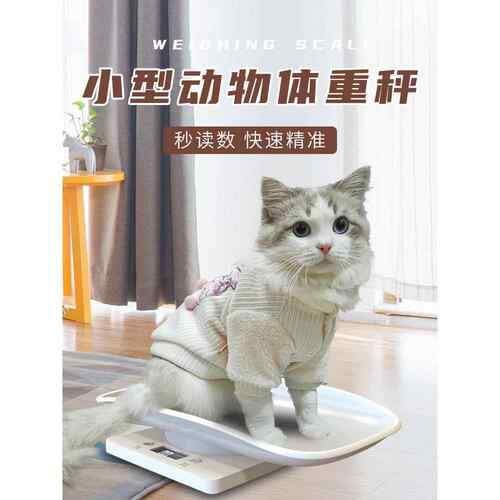 宠物称称重器小动物专用体重电子秤幼猫猫咪小型猫用狗狗精准家用